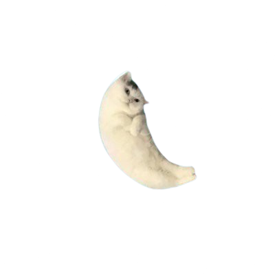 Moony Logo